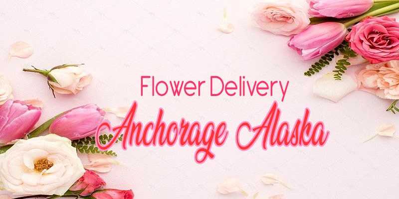 Best Flower Delivery Anchorage Alaska