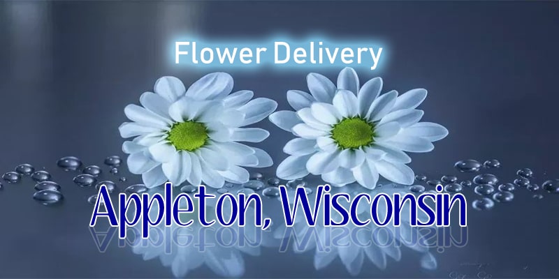 Best Flower Delivery Appleton Wisconsin