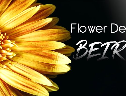 The 9 Best Options for Flower Delivery in Beirut, Lebanon