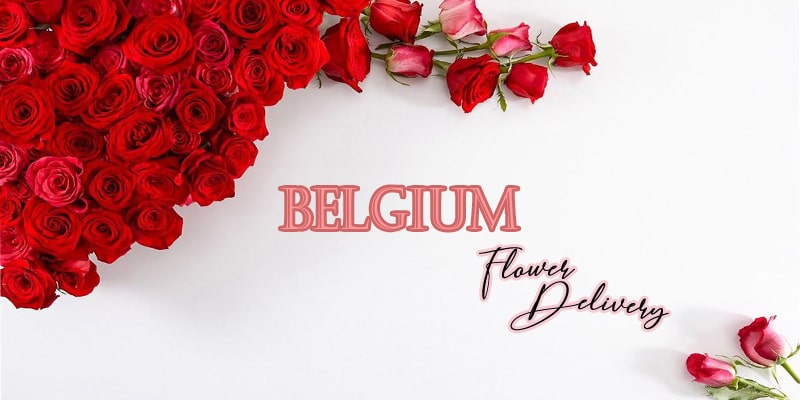 Best Flower Delivery Belgium