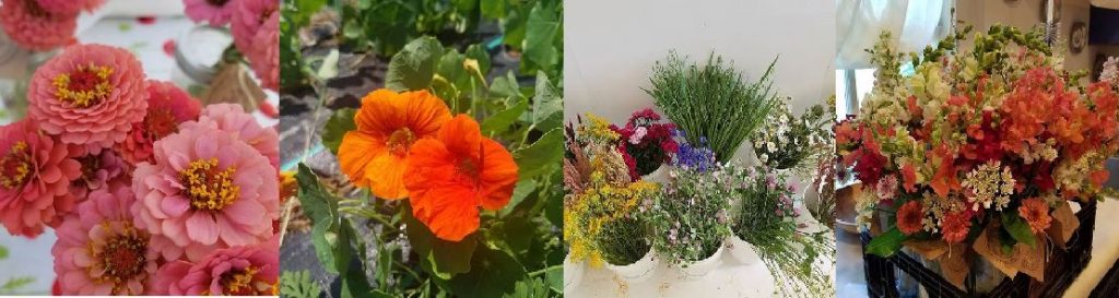 best flower delivery athens georgia - seeds and stems farm