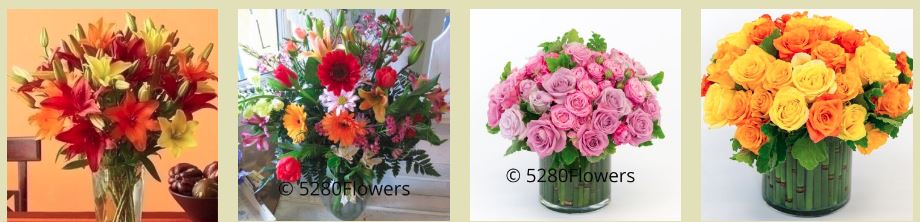 best flower delivery denver - 5280 flowers