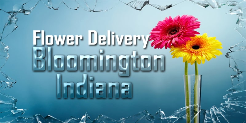 Best Flower Delivery Bloomington Indiana