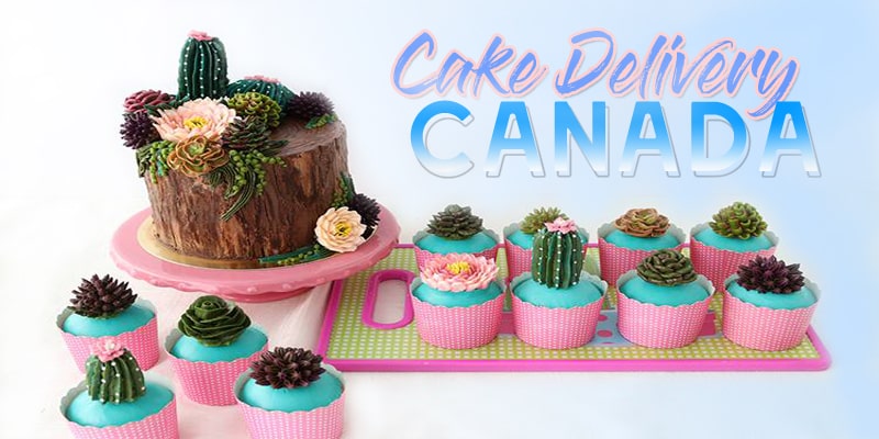 Best Cake Delivery Canada