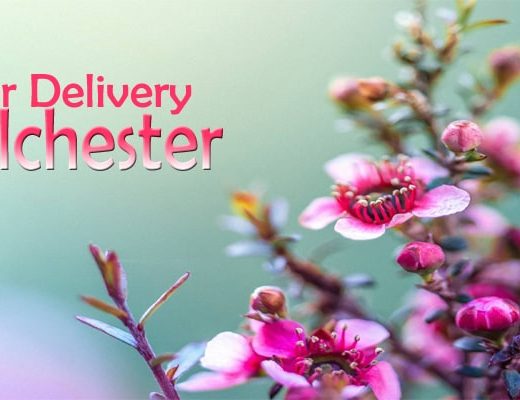 The 10 Best Options for Flower Delivery in Colchester