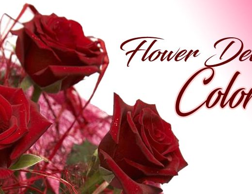 The 10 Best Options for Flower Delivery in Colorado