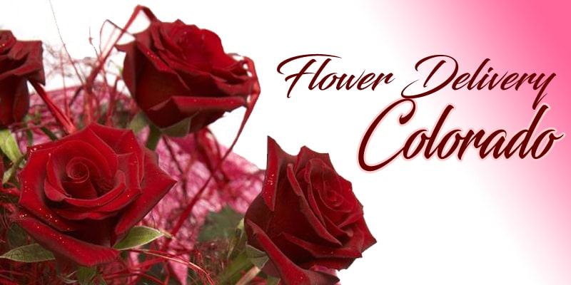 Flower Delivery in Colorado