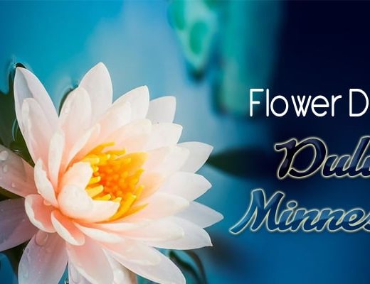 The 10 Best Options for Flower Delivery in Duluth, Minnesota