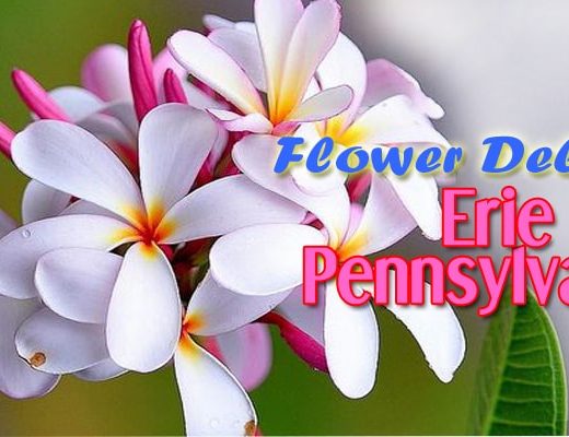 The 8 Best Options for Flower Delivery in Erie, Pennsylvania