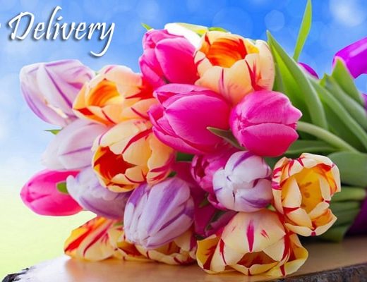 The 15 Best Options for Flower Delivery in Leicester