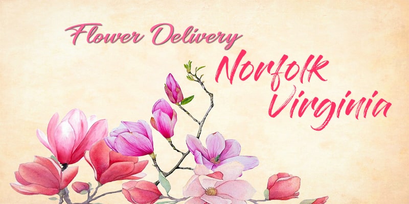 Best Flower Delivery Norfolk Virginia