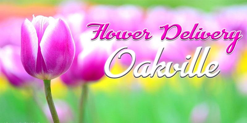 Best Flower Delivery Oakville