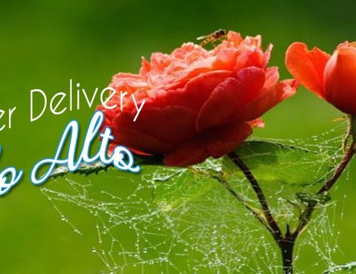 The 10 Best Options for Flower Delivery in Palo Alto