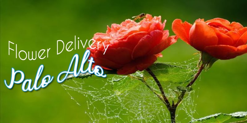Best Flower Delivery Palo Alto