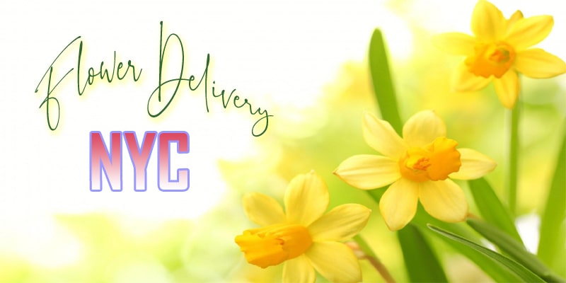 Best Flower Delivery NYC