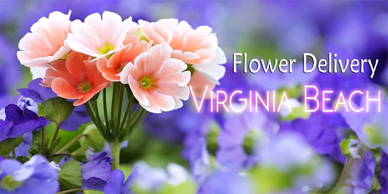 Best Flower Delivery Virginia Beach