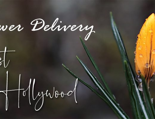 The 10 Best Options for Flower Delivery in West Hollywood