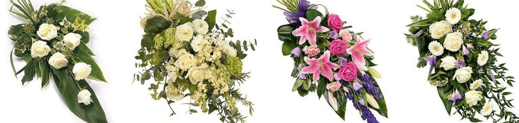 The Flower Pocket's Flowers