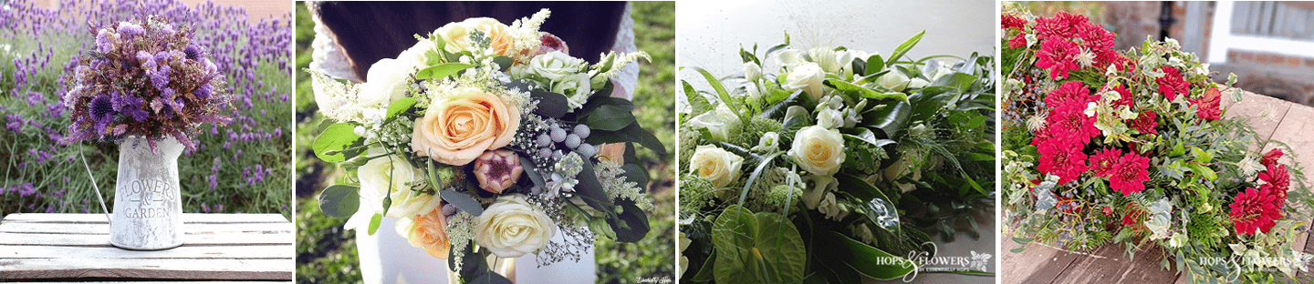 Essentially Hops' Flowers