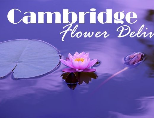 7 Best Flower Delivery in Cambridge, MA