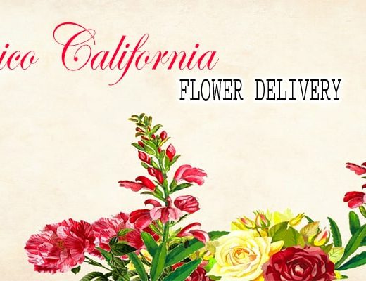 The 5 Best Options for Flower Delivery in Chico, California