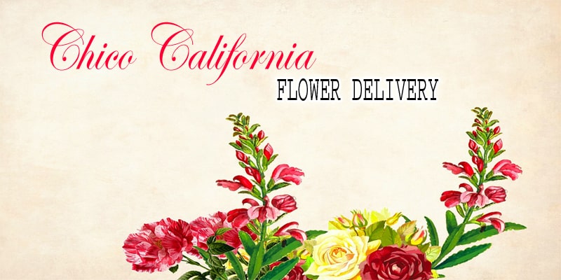 Best Flower Delivery Chico California