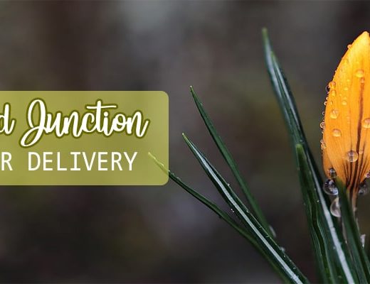 4 Picks for Best Flower Delivery in Grand Junction