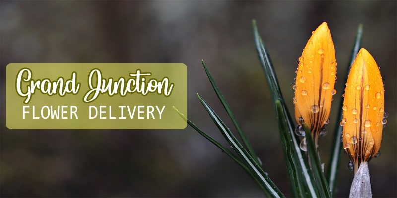 Best Flower Delivery Grand Junction Colorado