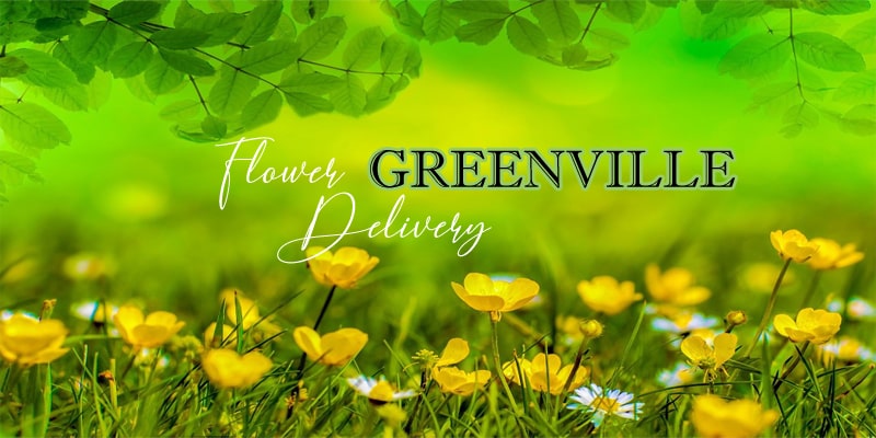 Best Flower Delivery Greenville, North Carolina