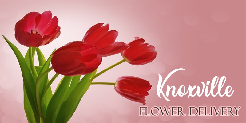 Best Flower Delivery Knoxville