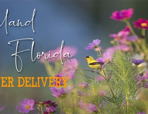The 8 Best Options for Flower Delivery in Lakeland, Florida