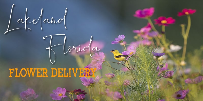 Best Flower Delivery Lakeland Florida