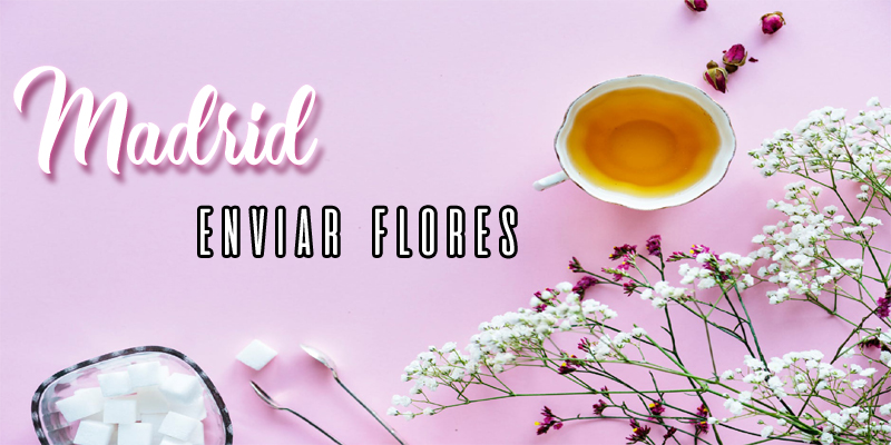 Mejores Enviar Flores Madrid