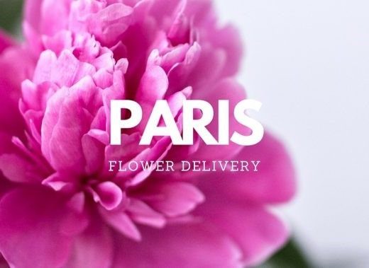Les Meilleurs Oaczptions Pour Des Livraisons De Fleurs A Paris.