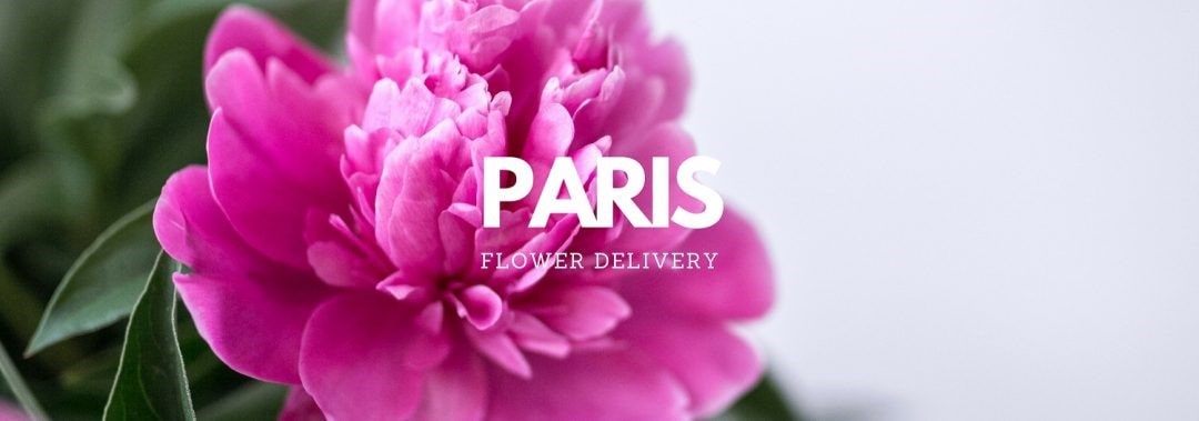 Meilleurs Livraison Fleurs Paris