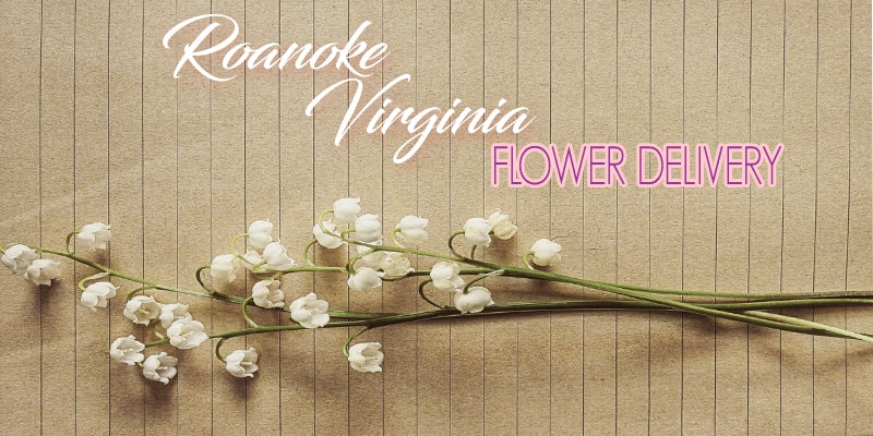 Best Flower Delivery Roanoke Virginia