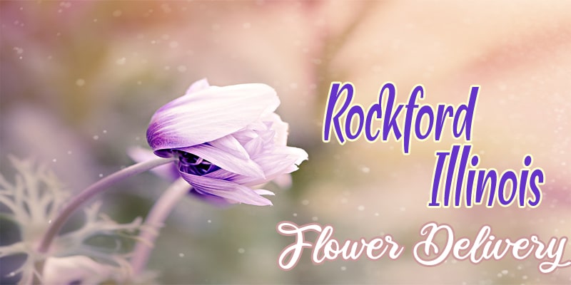 Best Flower Delivery Rockford Illinois