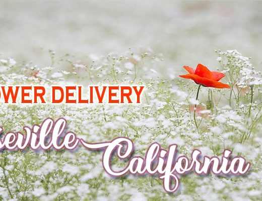 The 8 Best Options for Flower Delivery in Roseville, California