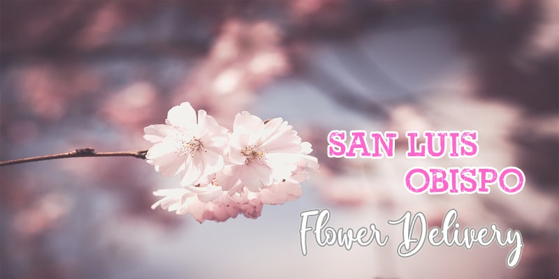 Best Flower Delivery San Luis Obispo