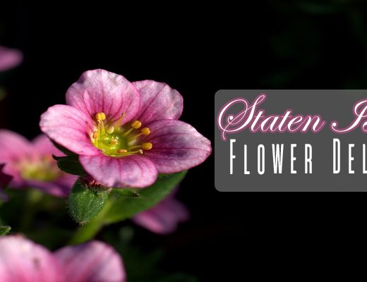 8 Best Flower Delivery in Staten Island, NY