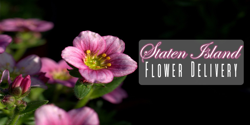 Best Flower Delivery Staten Island New York