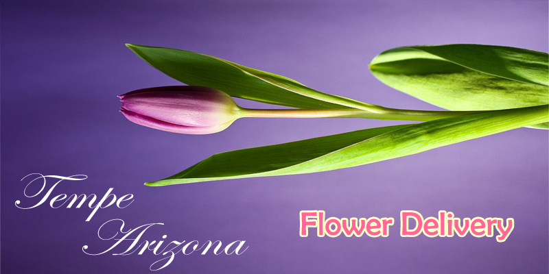 Best Flower Delivery Tempe Arizona