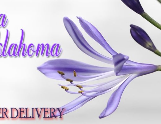 The 9 Best Options for Flower Delivery in Tulsa Oklahoma