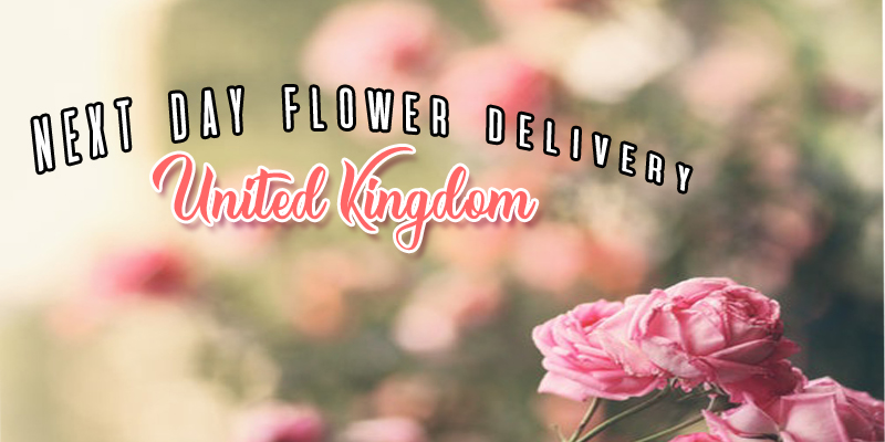 Best Next Day Flower Delivery the UK
