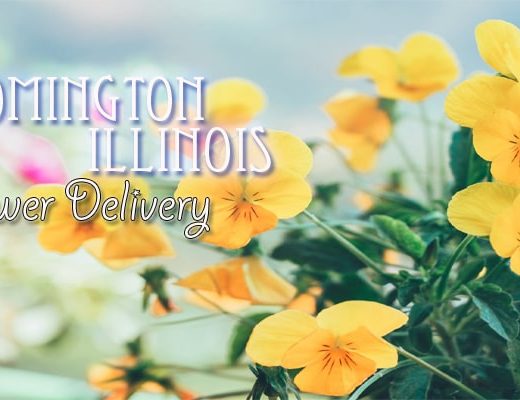 The 5 Best Options for Flower Delivery in Bloomington, Illinois