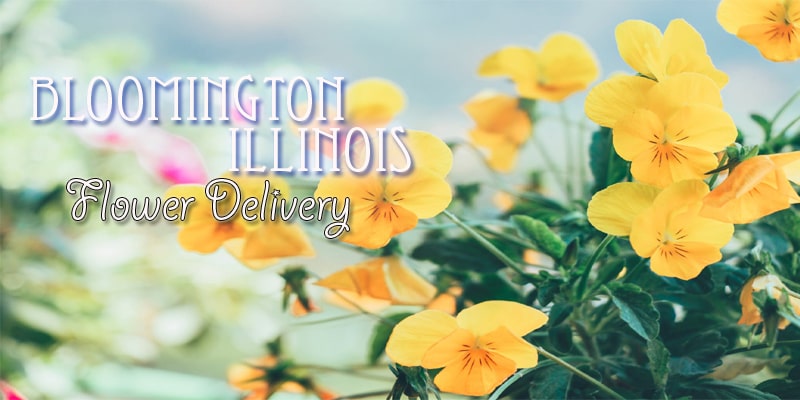 Best Flower Delivery Bloomington Illinois