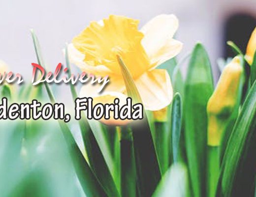 The 7 Best Options for Flower Delivery in Bradenton, Florida