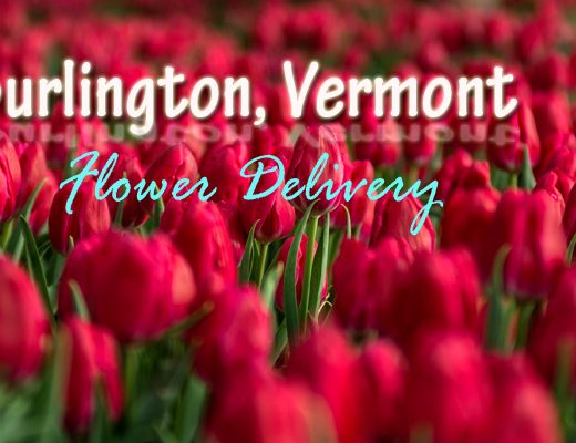 The 7 Best Options for Flower Delivery in Burlington, Vermont