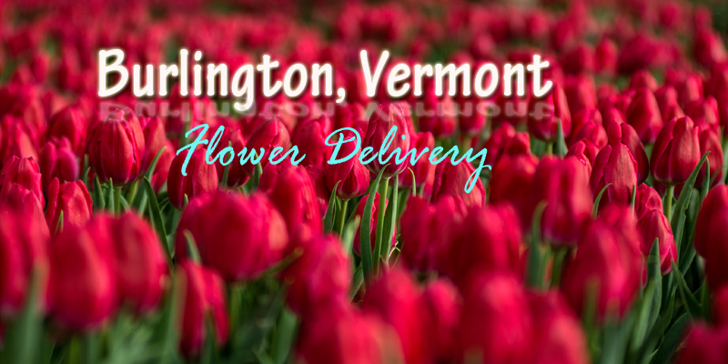 Best Flower Delivery Burlington Vermont