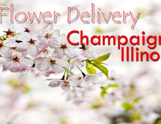 The 5 Best Options for Flower Delivery in Champaign, Illinois